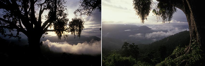 Nepal – Kostbare herinneringen aan het Dak van de Wereld | Reisfotografie