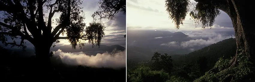 Nepal – Kostbare herinneringen aan het Dak van de Wereld | Reisfotografie